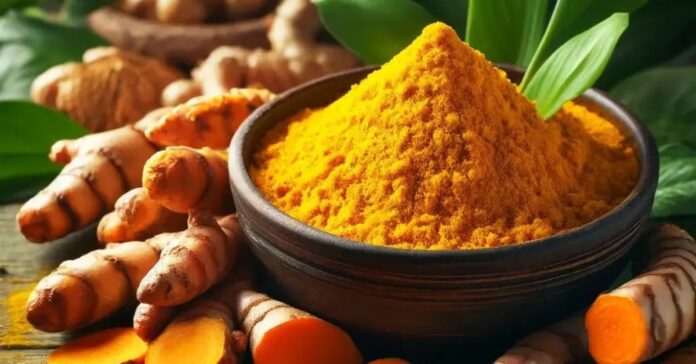 Curcumin-A-Promising-Natural-Treatment-for-Osteoporosis-and-Osteoarthritis.jpg