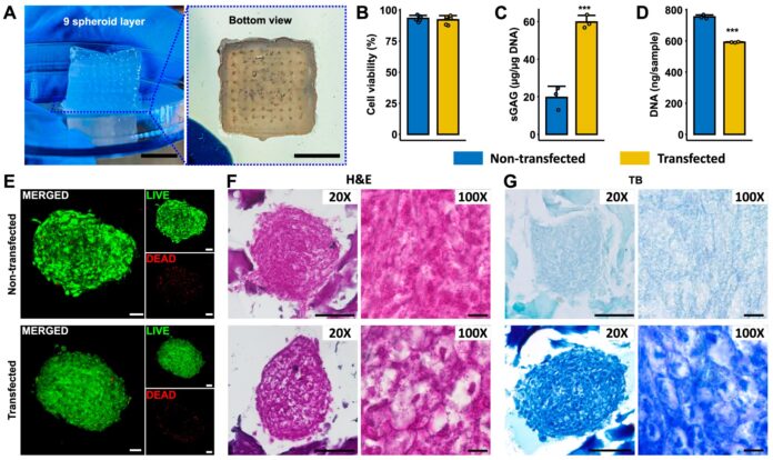 Bioprinting-technique-creates-functional-tissue-10x-faster.jpg