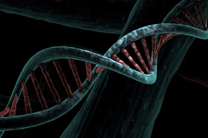 Artificial-human-DNA-study-raises-ethical-questions-for-society.jpg