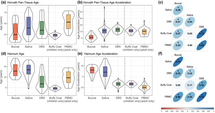 Tissue-sample-type-matters-when-measuring-a-persons-biological-age.jpg