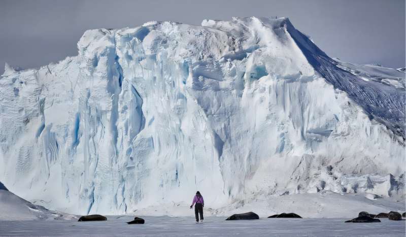Studying how seals adapt to extreme environments could lead to benefits in human reproductive health