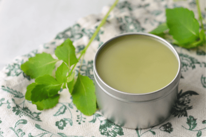 DIY-Jewelweed-Salve-For-Poison-Ivy-and-More.png
