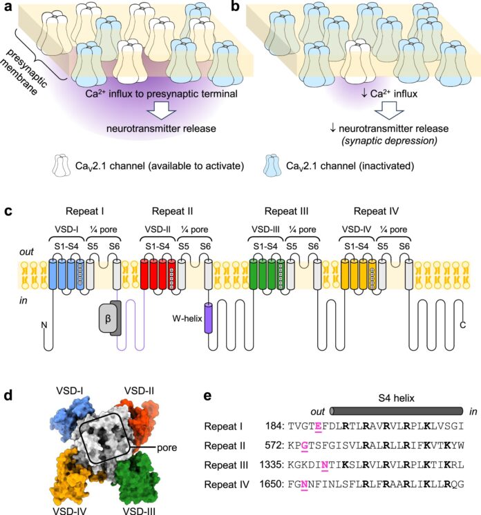 How-molecules-can-remember-and-contribute-to-memory-and-learning.jpg