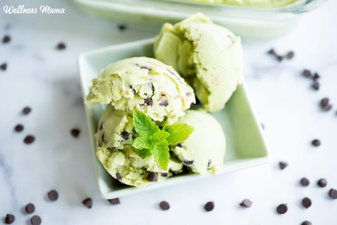 Homemade-Mint-Chocolate-Chip-Ice-Cream-Recipe-Dairy-Free.jpg