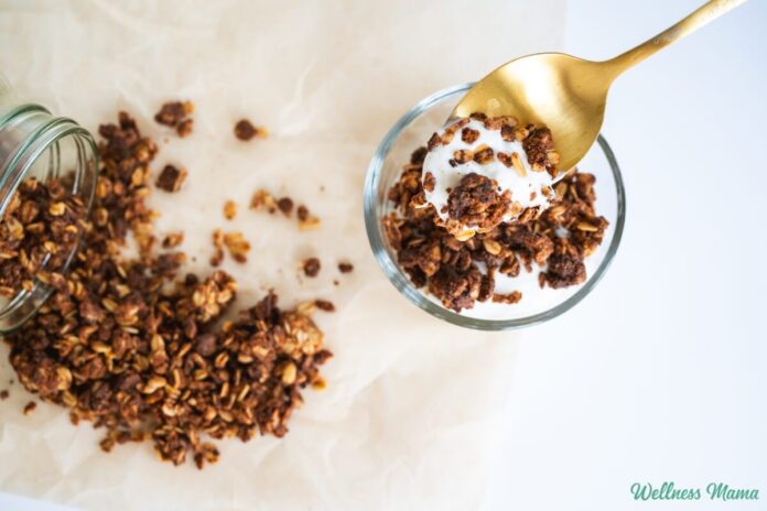 Homemade-Chocolate-Chunk-Granola.jpg